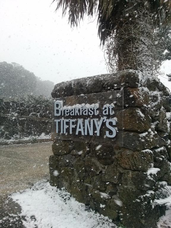 Breakfast At Tiffany'S Pension Seogwipo Luaran gambar